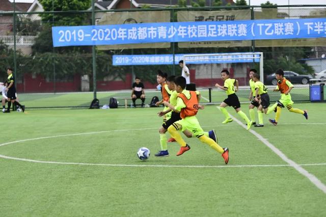 龙8下载